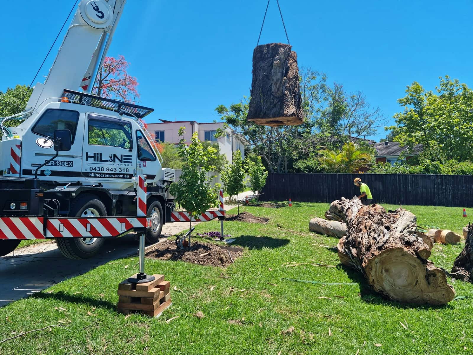 Tree service work in Charlotte NC