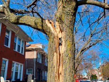 Storm cleanup crew Winston-Salem