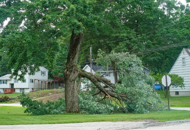 24hr Emergency Storm Damage Cleanup