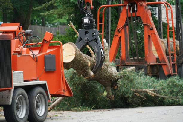 Brush Chipping