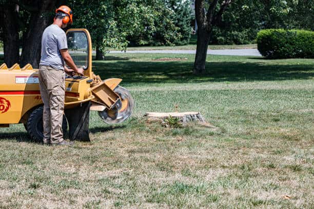 Small Lot Clearing